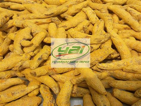 Turmeric Powder Manufacturers Suppliers Exporters In India