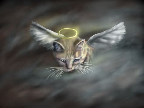Angel Cat Of The Night By Thefaileddream On Deviantart
