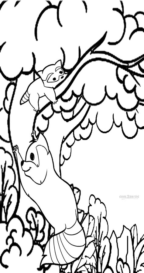Just download, print, and color these adorable coco coloring printables. Printable Raccoon Coloring Pages For Kids | Cool2bKids