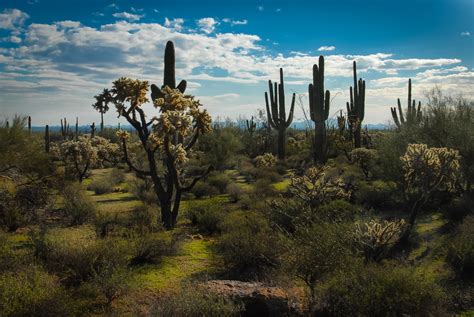 Arizona Desert Landscape Free Stock Photo Public Domain Pictures
