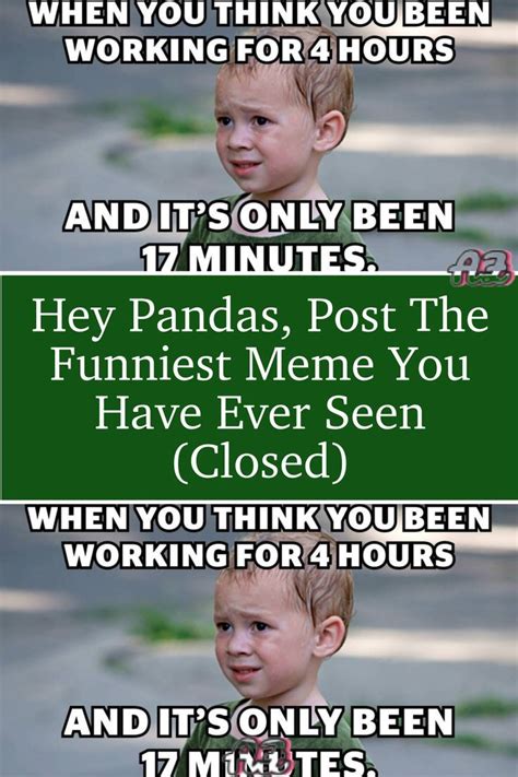 Hey Pandas Post The Funniest Meme You Have Ever Seen Closed Artofit