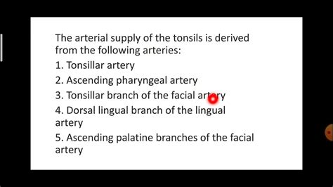 Arterial Supply Of Tonsils Youtube