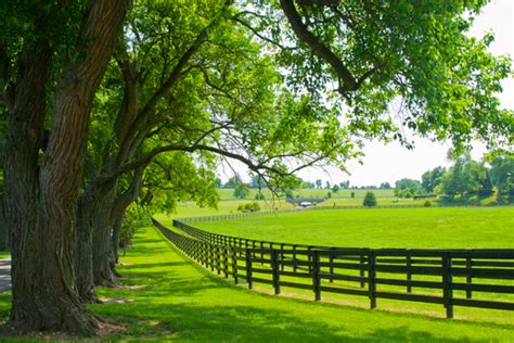 20 Most Spectacular Horse Farms In America Best Horse Blankets