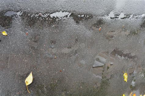 Wet Asphalt Pavement With Puddles Raindrops And Autumn Leaves After
