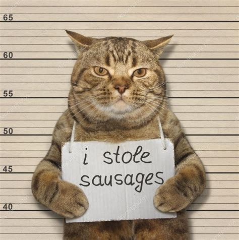 The Catstole Sausages — Stock Photo © Iridi 121170104