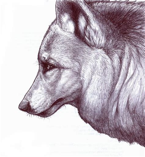 Wolf Profile By Nikkiburr On Deviantart Profile Picture Images Wolf