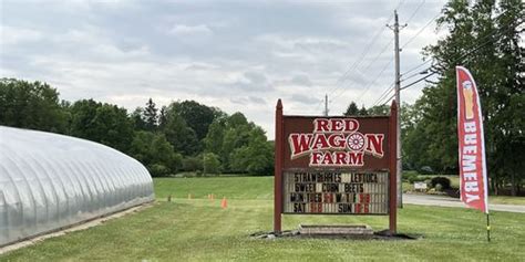 Four Paws Brewing Co Settling Into Home At Red Wagon Farm Photos