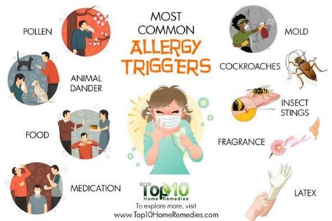 10 Most Common Allergy Triggers Top 10 Home Remedies