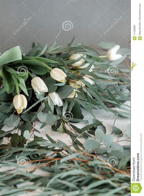 White Tulips And Eucalyptus Delicate Spring Bouquet With Green Leaves