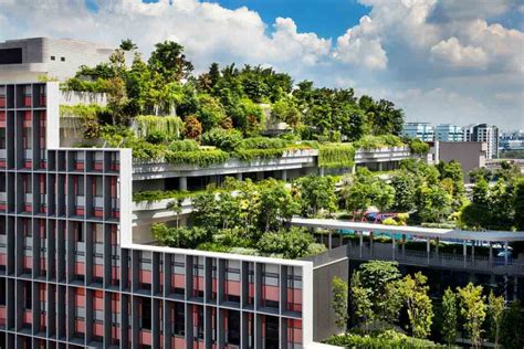 Rooftop Gardens Singapore 5 Best Design Ideas For Your Roof Garden
