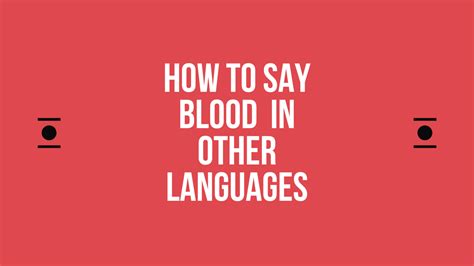 How To Say Blood In Different Languages Do You Know