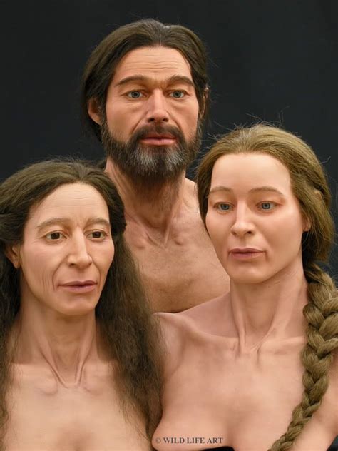 Facial Reconstruction Of Bronze Age Europeans Dna History Forensic