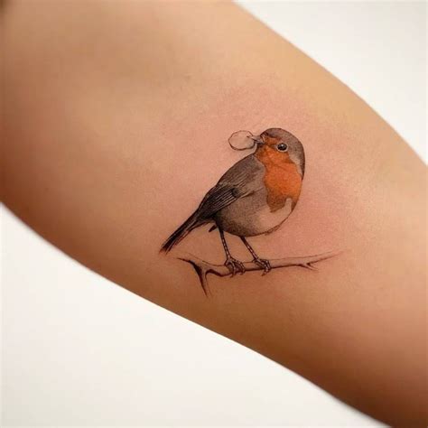 Robin Tattoos Tattoofilter Robin Tattoo Robin Bird Tattoos Realistic Bird Tattoo