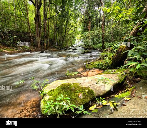 Tropical Rainforest Landscape With Flowing River Rocks And Jungle