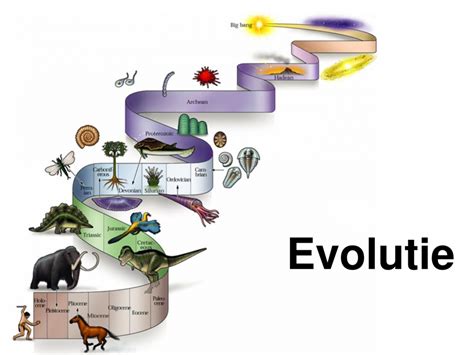 Evolutie Lesmateriaal Wikiwijs