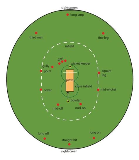 Cricket Stump Dimensions On Picterest Cricket Stump Cricket Coaching