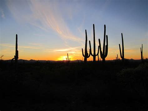 Free Images Landscape Nature Mountain Cactus Cloud Sky Sunrise