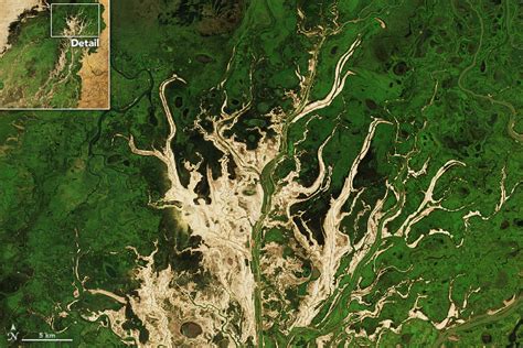 グーグル地図が捉えた自然とその上の生物人工物アクション 西アフリカのマリにあるニジェール内陸デルタ 我家のIT化