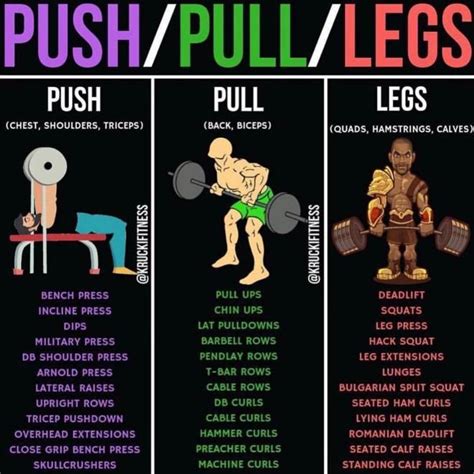 Push Pull Legs Workout Routine For Beginners For Build Muscle Fitness And Workout ABS Tutorial