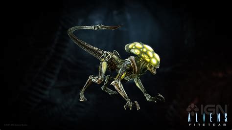 Alien Xenomorph Types