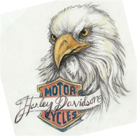 Harley Eagle Tattoo Art By Kittencaboodles On Deviantart Harley