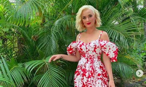 Add motherhood to katy perry's long list of accomplishments. Katy Perry shares glimpse inside huge garden at home with ...