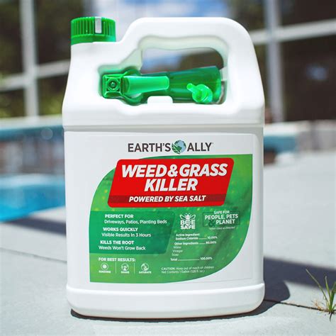 Natural Weed Grass Killer Gal Ready To Use Earth S Ally