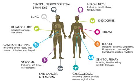 The human body contains major internal organs or body parts which can be easily identified. Disease Types | Mary Crowley Cancer Research