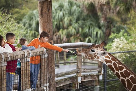 Best Zoo Exhibit Winners: 2019 10Best Readers' Choice Travel Awards