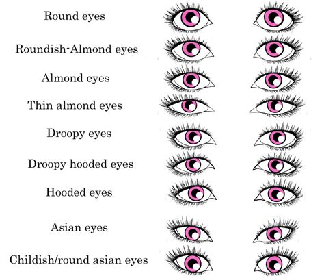 Types Of Eye Shapes Sevias Makeup Tips 14 Different Types Of