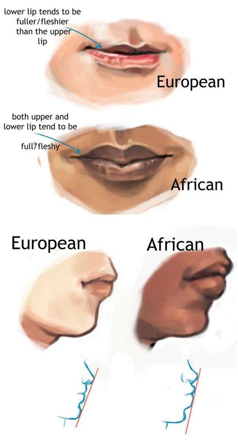 Artistic Reference For Depicting Typical Racial Physical Characteristics Focusing On The
