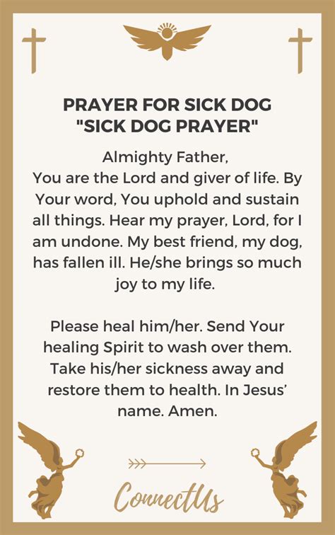 Healing Prayer For A Sick Pet Dog Churchgistscom