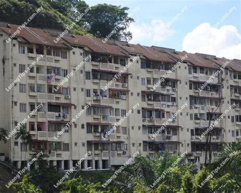 Kohalik ilm taman bukit permai. Lelong Auction Mutiara Court Apartment in Taman Bukit ...