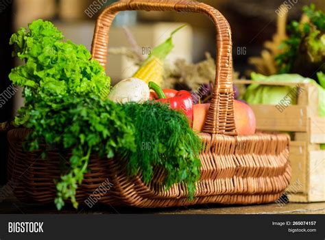 Vegetables Garden Farm Image And Photo Free Trial Bigstock