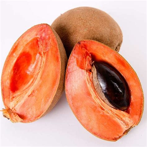 El zapote costeño | Frutas y verduras fotos, Costeño, Frutas y verduras