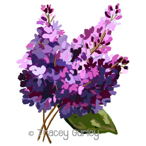 Lilacs Clipart 20 Free Cliparts Download Images On Clipground 2024