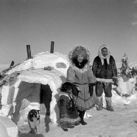 Inuit Igloos History And Science Inuit People Inuit Native Hot Sex Picture
