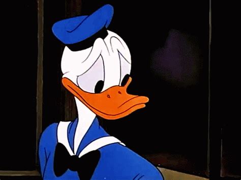 Donald Duck Do Not Want  Find And Share On Giphy