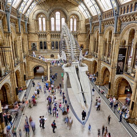 Record-breaking visitor numbers for the Natural History Museum in ...