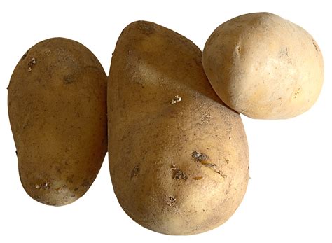 Raw Potato Png Image Purepng Free Transparent Cc0 Png Image Library