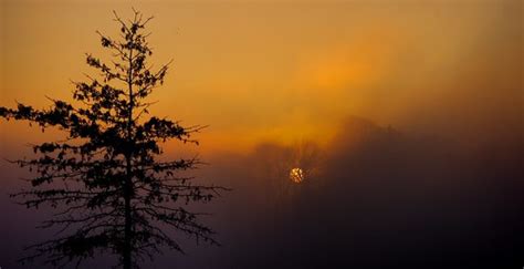 Sunrise Dense Fog Devon Ct Edwaste Flickr