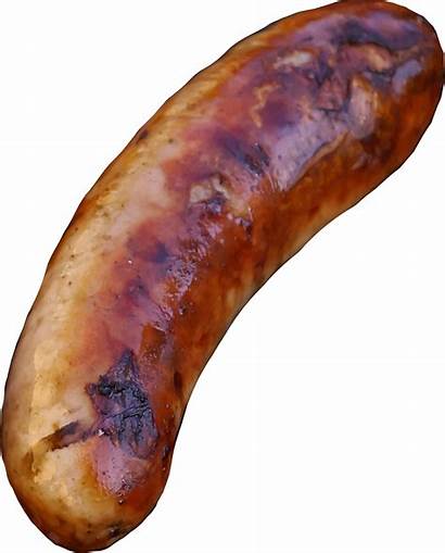 Sausage Clipart Vector Sausages Clip Cooked Domain