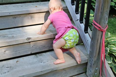 cloth diaper myths common cloth diapering myths debunked
