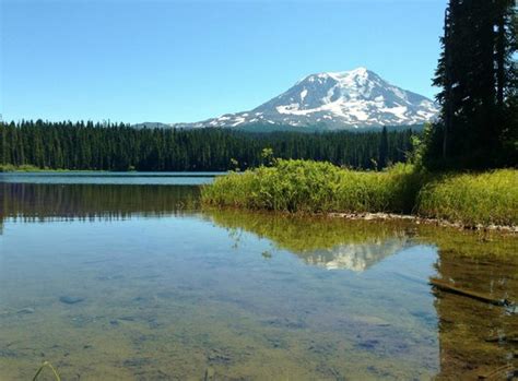Mt Adams Daytime Reflection In Takhlakh Lake Picture Of Ford