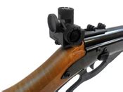 Daisy B Champion Competition Rifle Replicaairguns Us