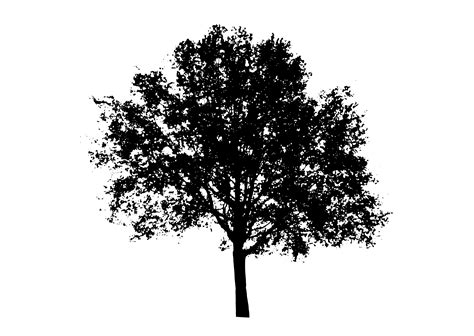 Tree Silhouette Clipart Png 20 Free Cliparts Download Images On