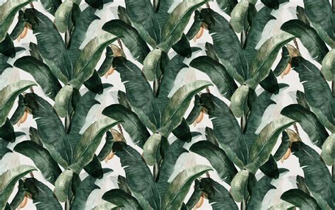 [37+] Botany Wallpaper on WallpaperSafari