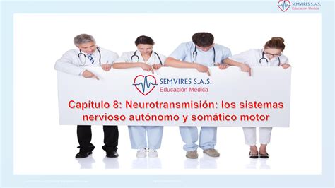 Calaméo Neurotransmisión Los Sistemas Nervioso Autónomo Y Somático