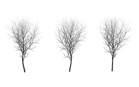 Winter Trees Arc Pixel Graphics Silhouette Material Graphic