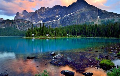 Обои лес пейзаж горы природа озеро отражение Канада Бнаф